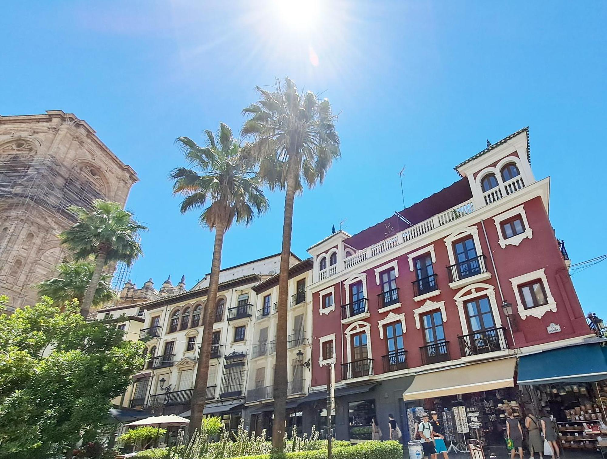 Apartasuite Centro Historico Atico Tranquilo Y Luminoso En El Corazon De Granada Exteriör bild