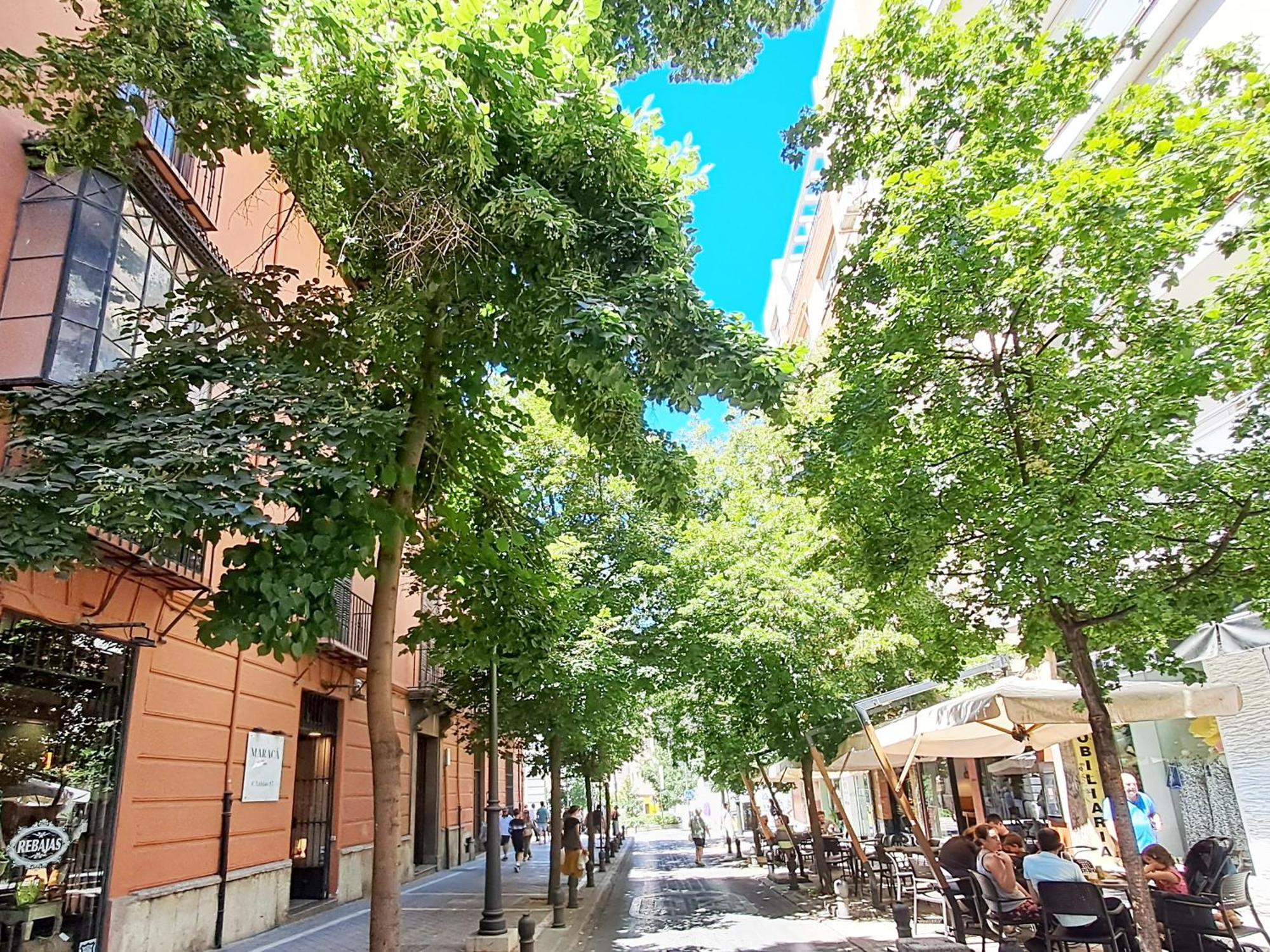 Apartasuite Centro Historico Atico Tranquilo Y Luminoso En El Corazon De Granada Exteriör bild